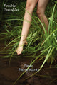 Book cover of: Possible Crocodiles. By: Barry Marks
