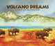 Book cover of: Volcano Dreams. By: Janet S. Fox