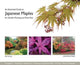 Illustrated Guide to Japanese Maples for Garden Planting and Patio Pots 9780993213304 Neil Kenney