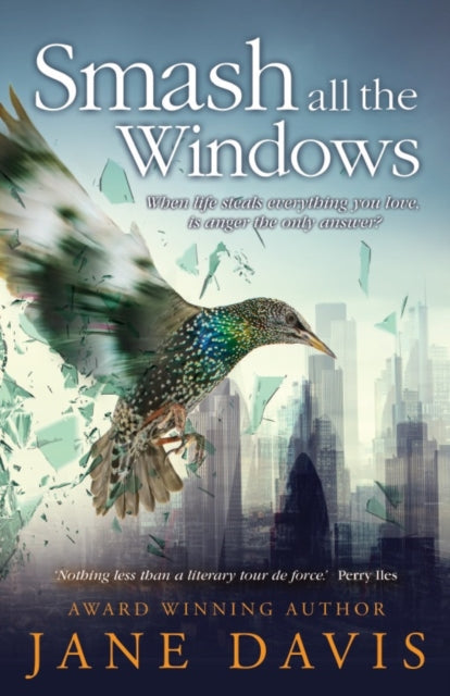 Book cover of: Smash all the Windows