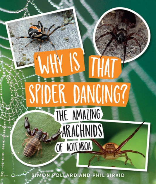 Book cover of: Why Is That Spider Dancing?. By: Simon Pollard