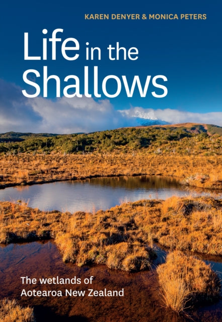 Book cover of: Life in the Shallows. By: Karen Denyer