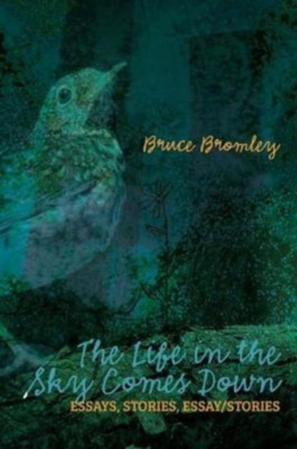 Book cover of: Life in the Sky Comes Down