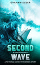 Book cover of: Covid Odyssey Second Wave