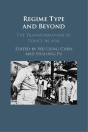 Regime Type and Beyond