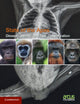 Book cover of: Disease, Health and Ape Conservation: Volume 5. By: Arcus Arcus Foundation
