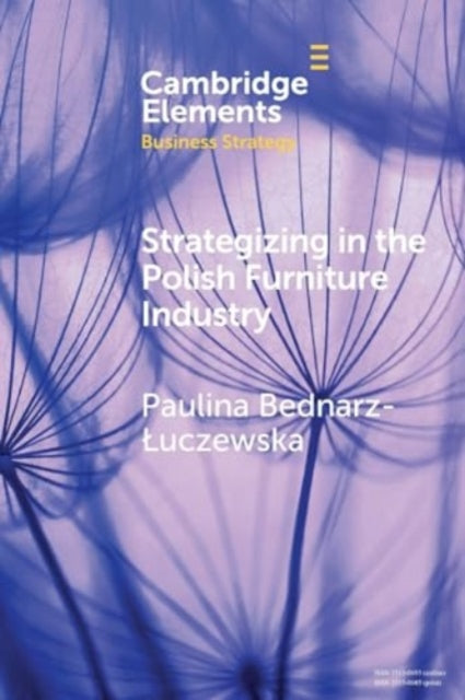 Book cover of: Strategizing in the Polish Furniture Industry