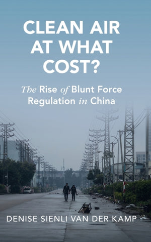 Clean Air at What Cost?