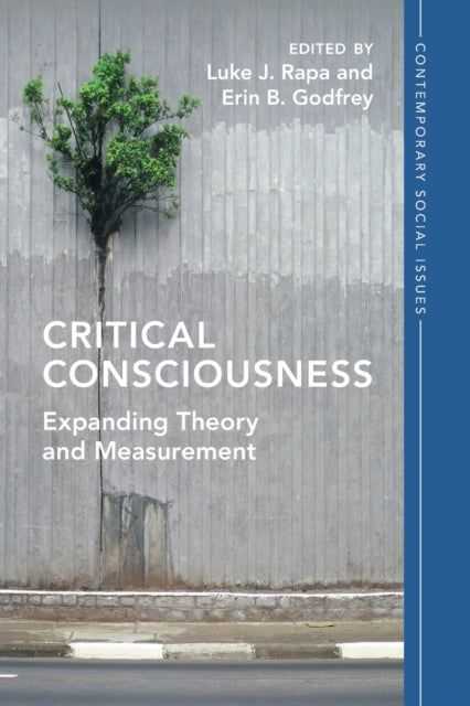 Book cover of: Critical Consciousness. By: Luke J. Rapa