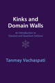 Book cover of: Kinks and Domain Walls. By: Tanmay Vachaspati