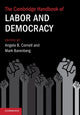 Book cover of: Cambridge Handbook of Labor and Democracy. By: Mark Barenberg