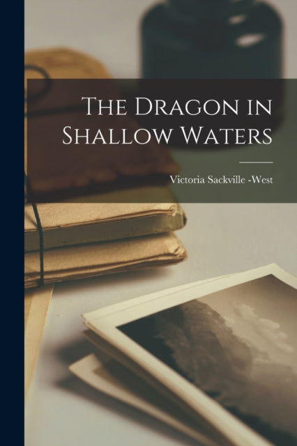 Book cover of: Dragon in Shallow Waters