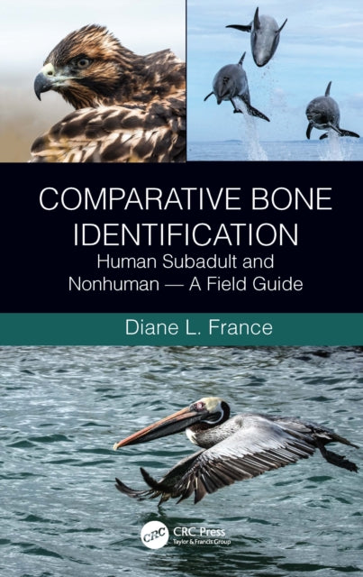 Book cover of: Comparative Bone Identification. By: Diane L. France
