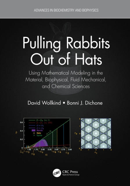 Book cover of: Pulling Rabbits Out of Hats. By: David J. Wollkind