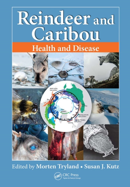Book cover of: Reindeer and Caribou. By: Morten Tryland