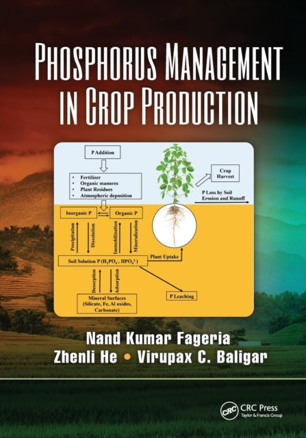 Book cover of: Phosphorus Management in Crop Production. By: N. K. Fageria