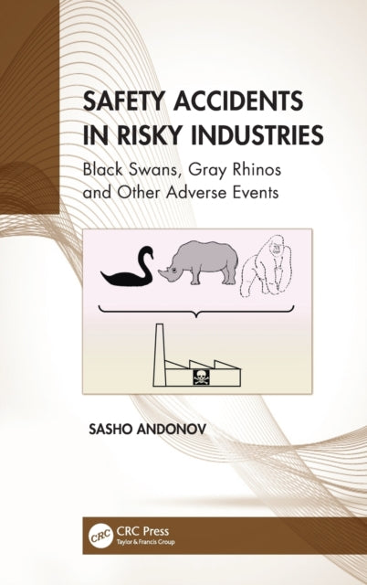 Book cover of: Safety Accidents in Risky Industries. By: Sasho Andonov