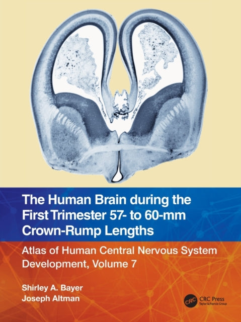 Book cover of: Human Brain during the First Trimester 57- to 60-mm Crown-Rump Lengths. By: Shirley A. Bayer