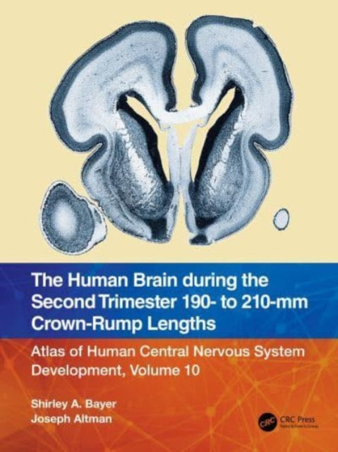 Book cover of: Human Brain during the Second Trimester 190– to 210–mm Crown-Rump Lengths. By: Shirley A. Bayer