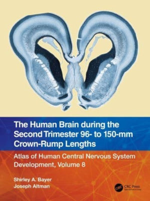 Human Brain during the Second Trimester 96– to 150–mm Crown-Rump Lengths
