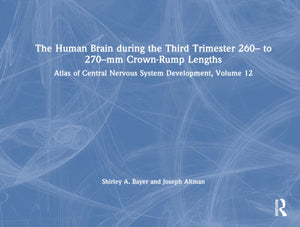 Human Brain during the Third Trimester 260– to 270–mm Crown-Rump Lengths