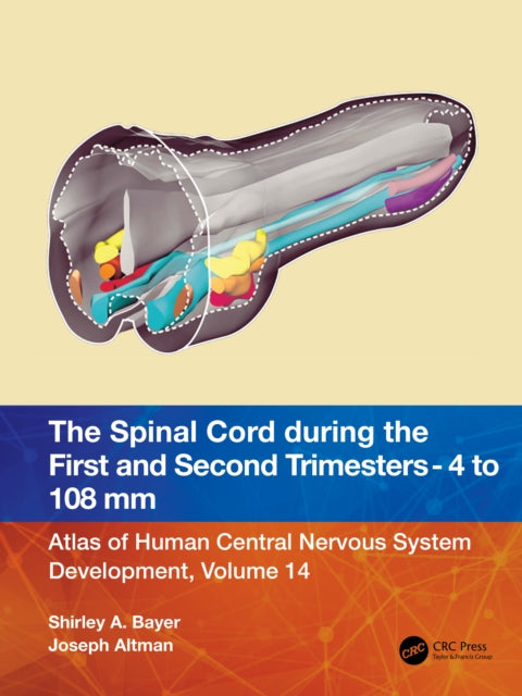 Book cover of: Spinal Cord during the First and Early Second Trimesters 4- to 108-mm Crown-Rump Lengths