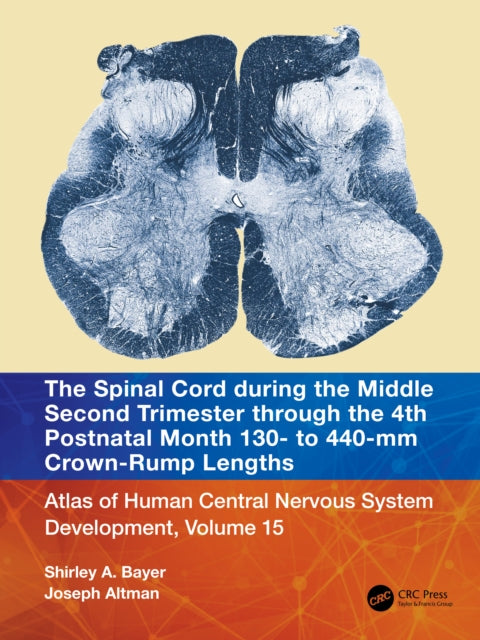 The Spinal Cord during the Middle Second Trimester through the 4th Postnatal Month 130