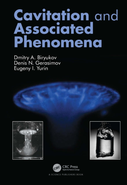 Book cover of: Cavitation and Associated Phenomena. By: Dmitry A. Biryukov