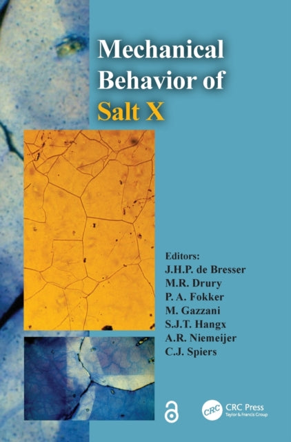 Book cover of: Mechanical Behavior of Salt X. By: Johannes H. P de Bresser