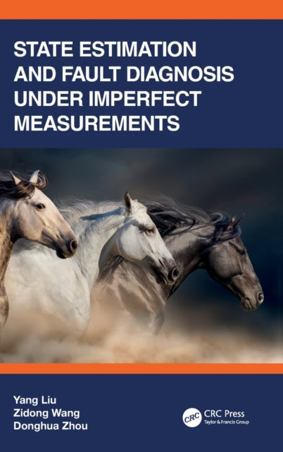 State Estimation and Fault Diagnosis under Imperfect Measurements
