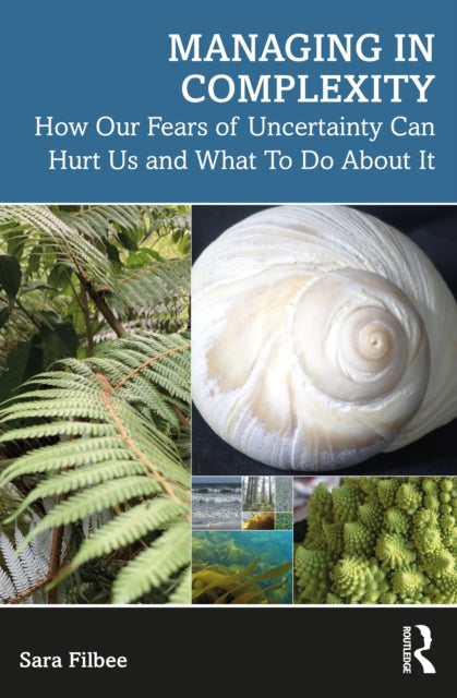 Book cover of: Managing in Complexity