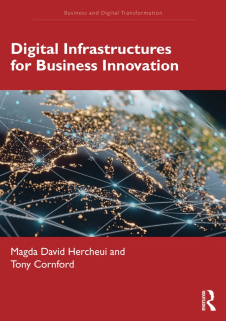 Book cover of: Digital Infrastructures for Business Innovation