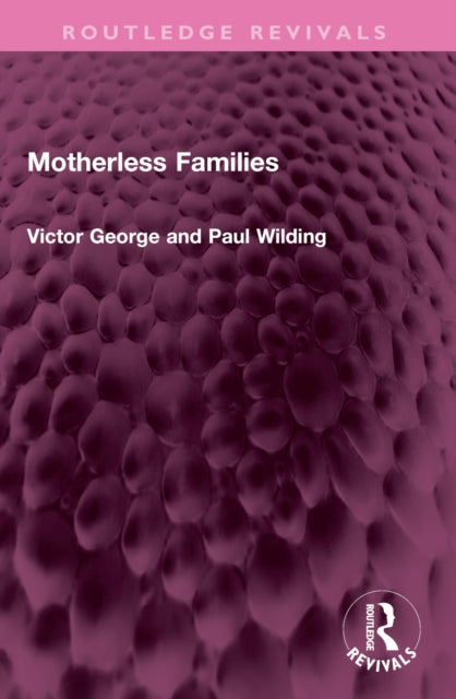 Book cover of: Motherless Families