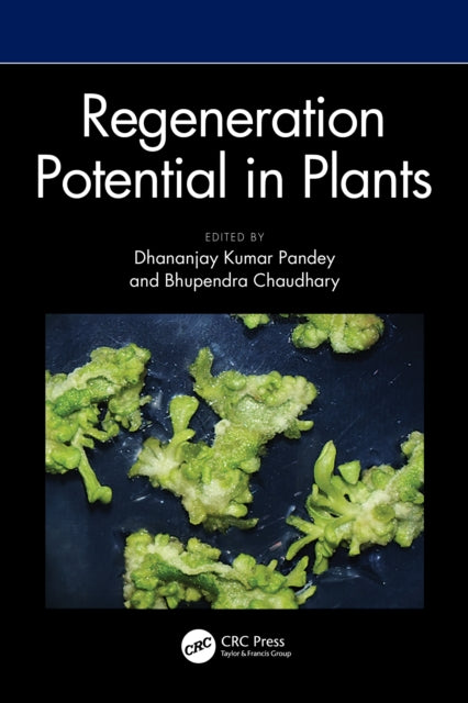Book cover of: Regeneration Potential in Plants. By: Dhananjay Kumar Pandey