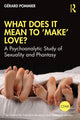 Book cover of: What Does It Mean to 'Make' Love?