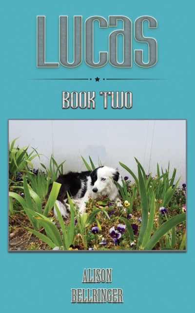 Book cover of: Lucas. By: Alison Bellringer