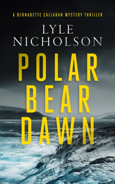 Book cover of: Polar Bear Dawn