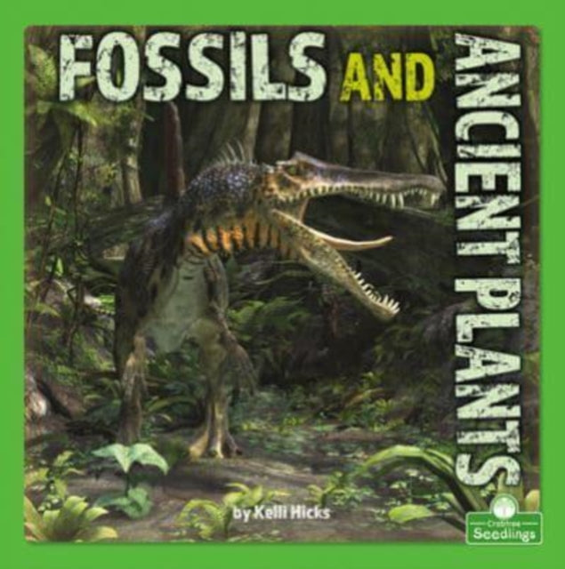Book cover of: Fossils and Ancient Plants. By: Kelli Hicks