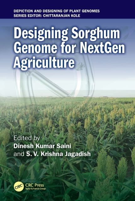 Book cover of: Designing Sorghum Genome for NextGen Agriculture