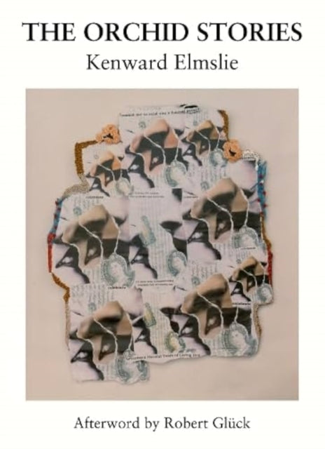Book cover of: Orchid Stories