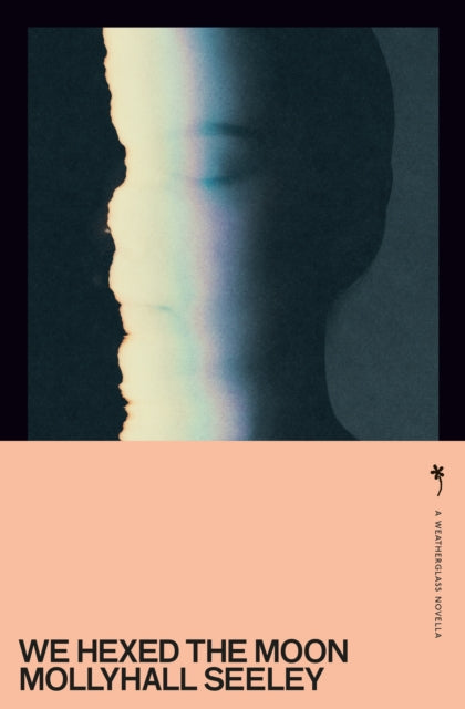 Book cover of: We Hexed the Moon