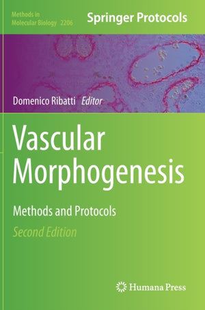 Vascular Morphogenesis