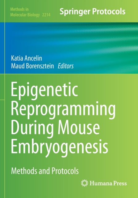 Book cover of: Epigenetic Reprogramming During Mouse Embryogenesis. By: Katia Ancelin