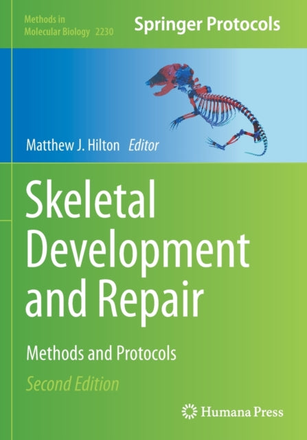 Book cover of: Skeletal Development and Repair. By: Matthew J. Hilton