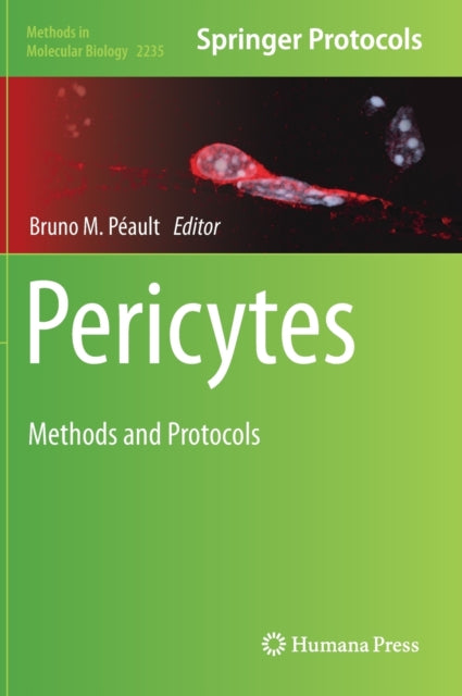 Book cover of: Pericytes. By: Bruno Péault
