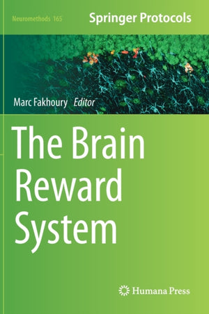 Brain Reward System