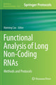 Book cover of: Functional Analysis of Long Non-Coding RNAs. By: Haiming Cao