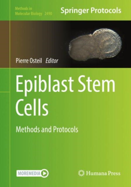 Book cover of: Epiblast Stem Cells. By: Pierre Osteil