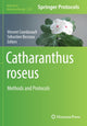 Book cover of: Catharanthus roseus. By: Vincent Courdavault