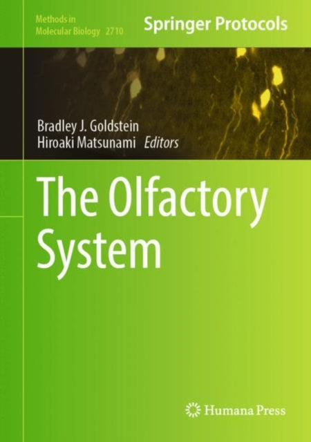 Book cover of: Olfactory System. By: Bradley Goldstein